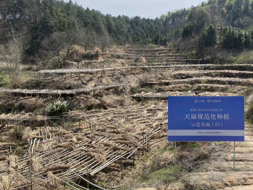 首页-人生就是博