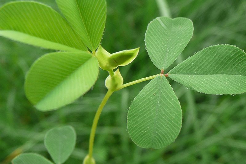 304am永利集团(集团)有限公司官网